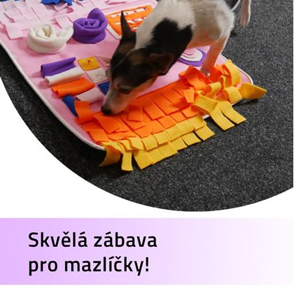 Obrázek z Hrací deka pro mazlíčky