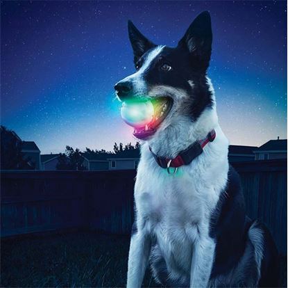 Obrázek Svítící míček pro psy