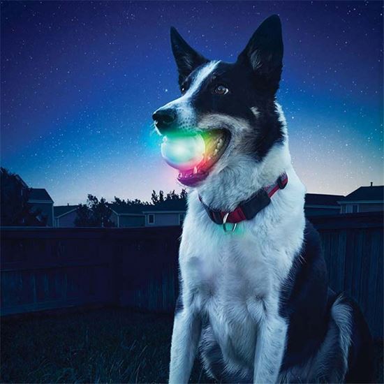 Obrázek z Svítící míček pro psy