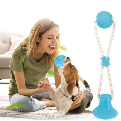 Obrázek Hračka pro psy na čištění zubů