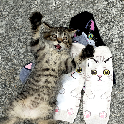 	Ponožky s kočkou