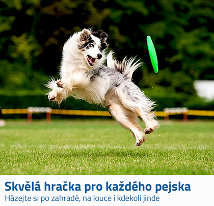 Frisbee pro psy