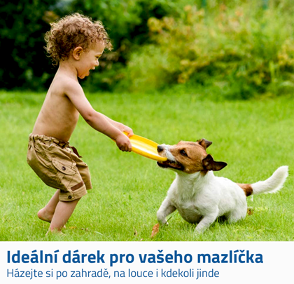 Frisbee 