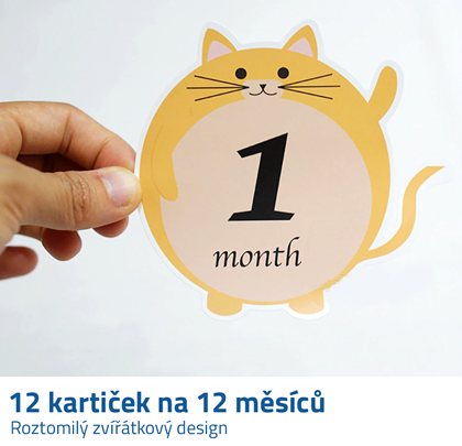 Milníkové kartičky 