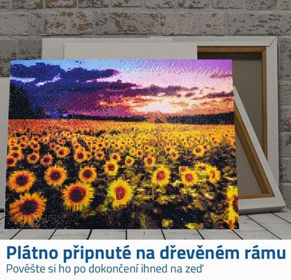 malování