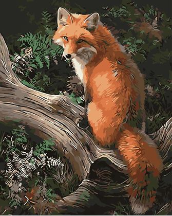 Obrázek z Malování podle čísel - liška, vypnuté plátno na rám
