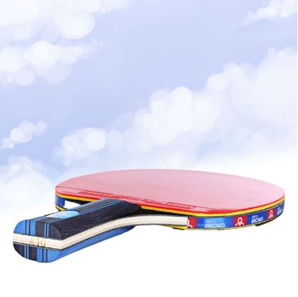 Set na ping pong
