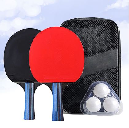Stolni tenis 