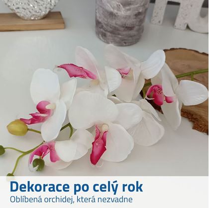 umělá orchidej