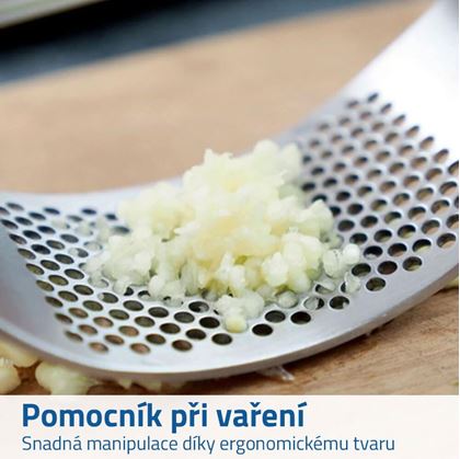 lis na česnek