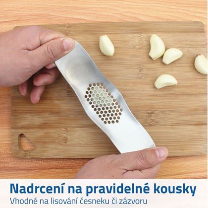 lis na zázvor