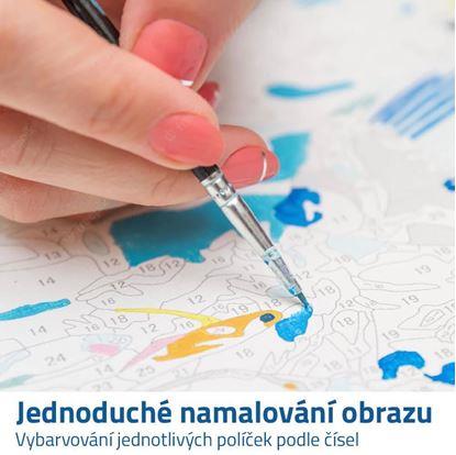 malování podle čísel