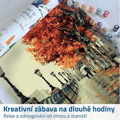 malování podle čísel