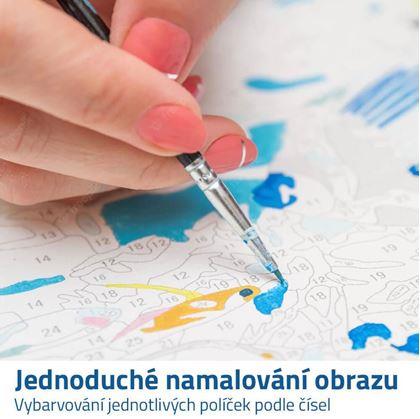 malování podle čísel