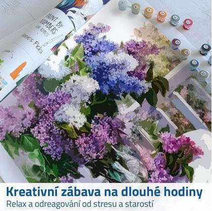 malování podle čísel