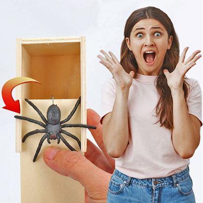 Obrázek Pavouk v krabičce