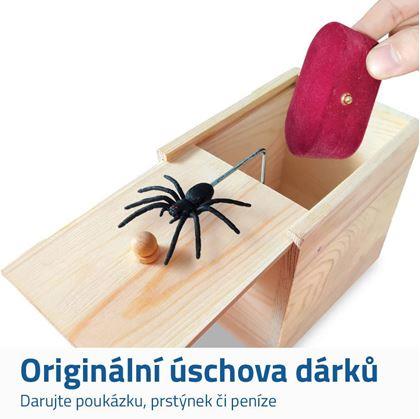 Obrázek z Pavouk v krabičce