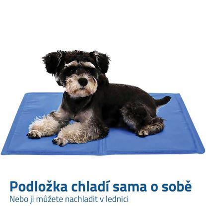 Chladící podložka pro psy 40 x 30 cm