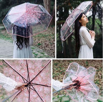  Průhledný deštník - květiny