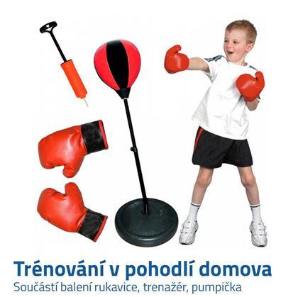 Obrázek z Dětský boxovací trenažér