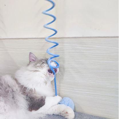 Obrázek Pružinová hračka pro kočky s míčkem