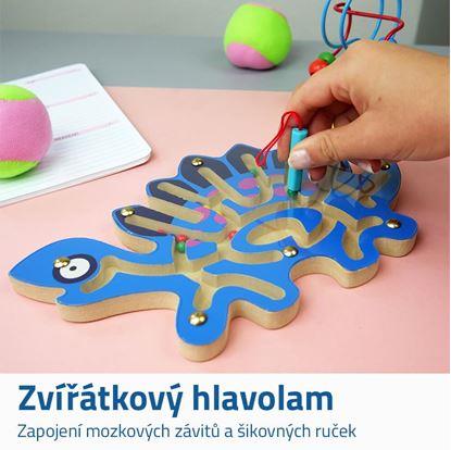 Obrázek Magnetické bludiště