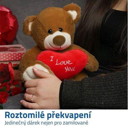 Obrázek z Plyšový medvěd - Miluji Tě