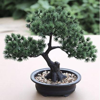 Obrázek z Umělá bonsai v květináči