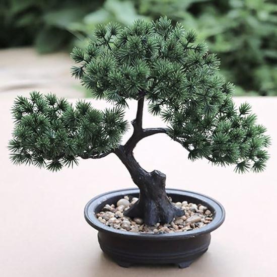 Obrázek z Umělá bonsai v květináči