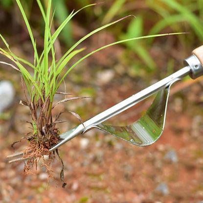 Obrázek Vypichovač plevele s kolébkou a dřevěnou rukojetí