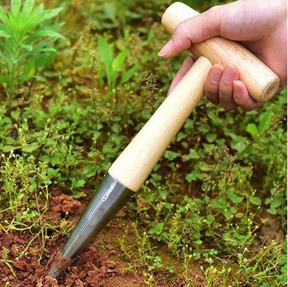 Obrázek z Sázecí kolík