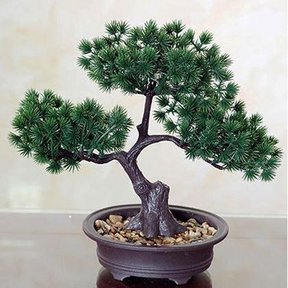 Obrázek z Umělá bonsai v květináči