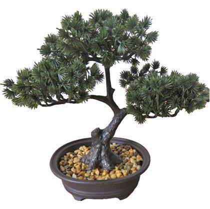 Obrázek z Umělá bonsai v květináči
