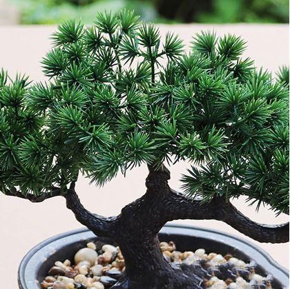 Obrázek z Umělá bonsai v květináči