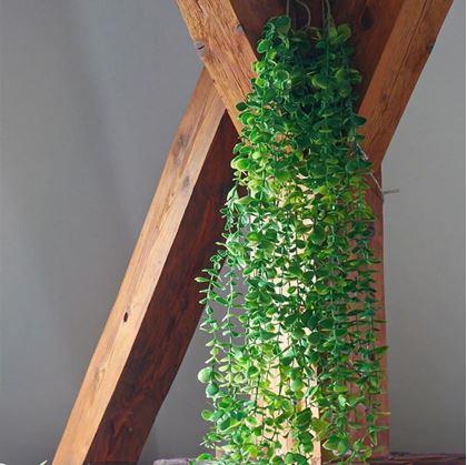Obrázek z Umělá závěsná rostlina 124 cm