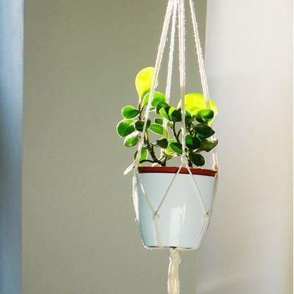 Obrázek Macramé závěs na květináč - krémový