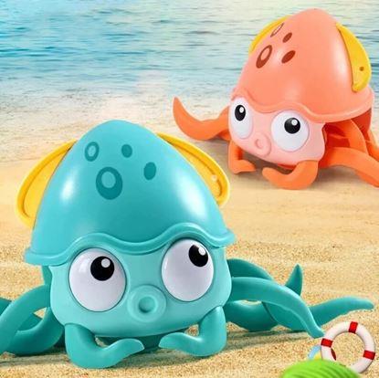 Obrázek Obojživelná lezoucí chobotnice pro děti