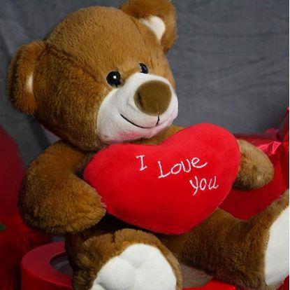 Obrázek Plyšový medvěd - Miluji tě/I Love You