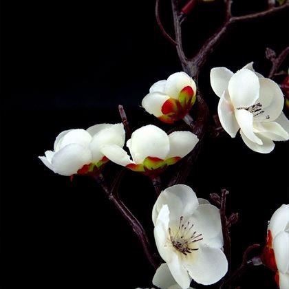 Obrázek z Umělá sakura v květináči - 30 cm