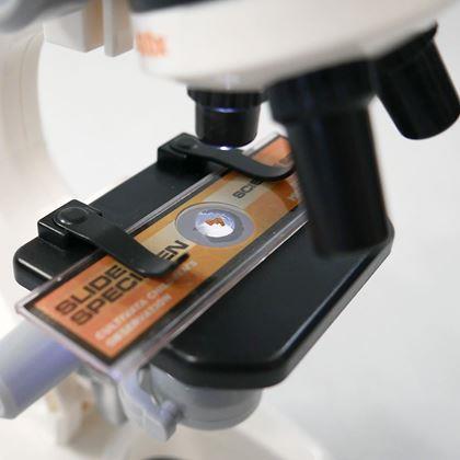 Obrázek z Vzdělávací dětský mikroskop v sadě s náčiním