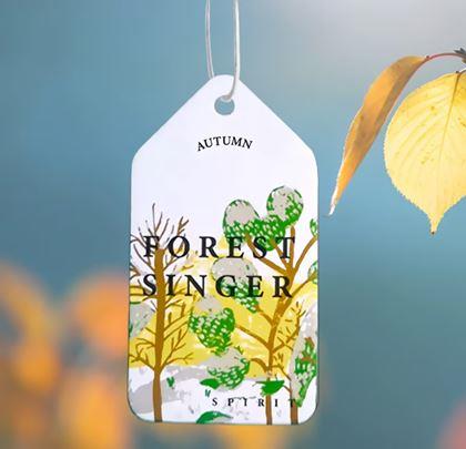 Obrázek z Vonítko do auta  - borovice