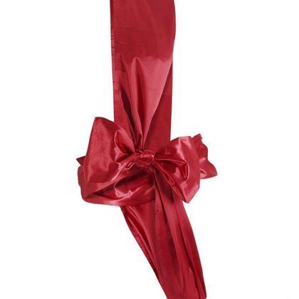 Obrázek z Sexy spodní prádlo - červená dárková mašle