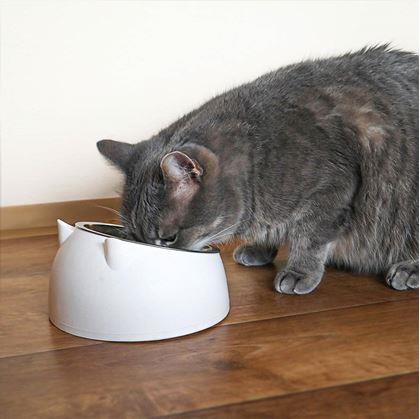 Obrázek z Miska pro kočky 2v1