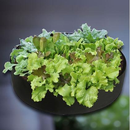 Obrázek z Textilní záhon 140 l, 80 x 30 cm