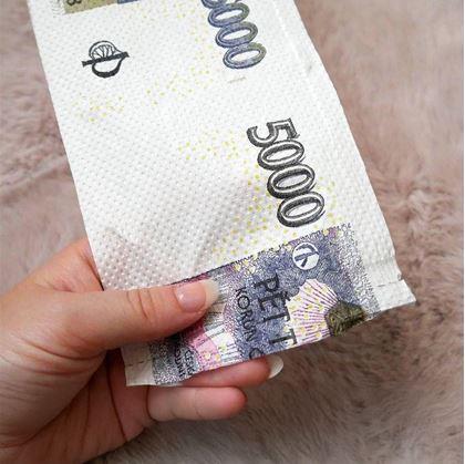 Obrázek z Toaletní papír pětitisícovka