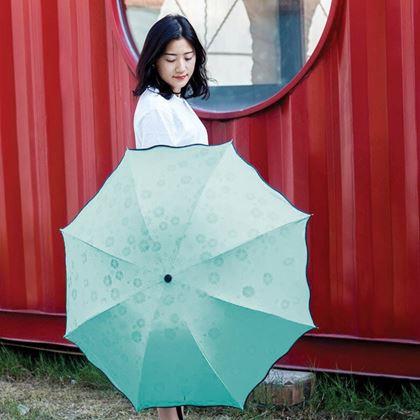 Obrázek z Magický deštník skládací - mentolový