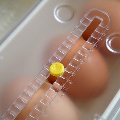 Obrázek z Samospádový organizér na vajíčka