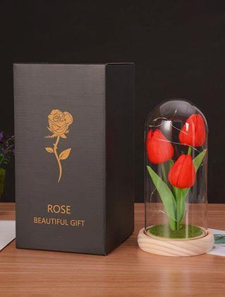 Obrázek z Svítící tulipány ve skleněné kopuli