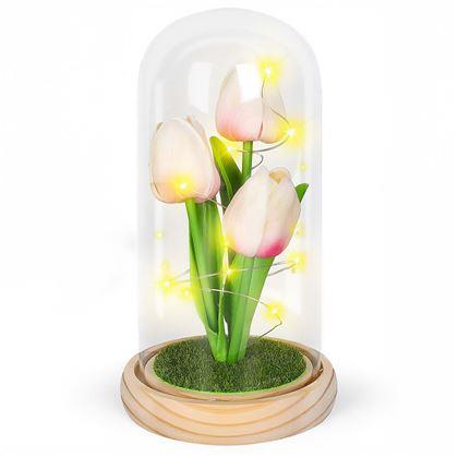 Obrázek z Svítící tulipány ve skleněné kopuli