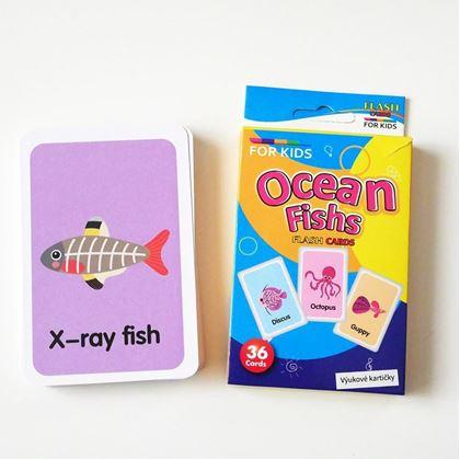 Obrázek z Sada 36 výukových kartiček v angličtině - mořská zvířátka
